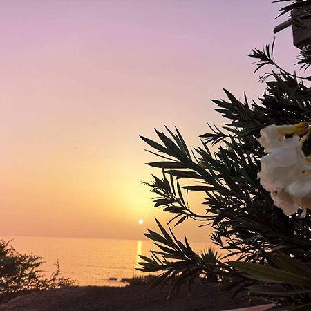 Tarrafal  Bed & Breakfast Regina מראה חיצוני תמונה